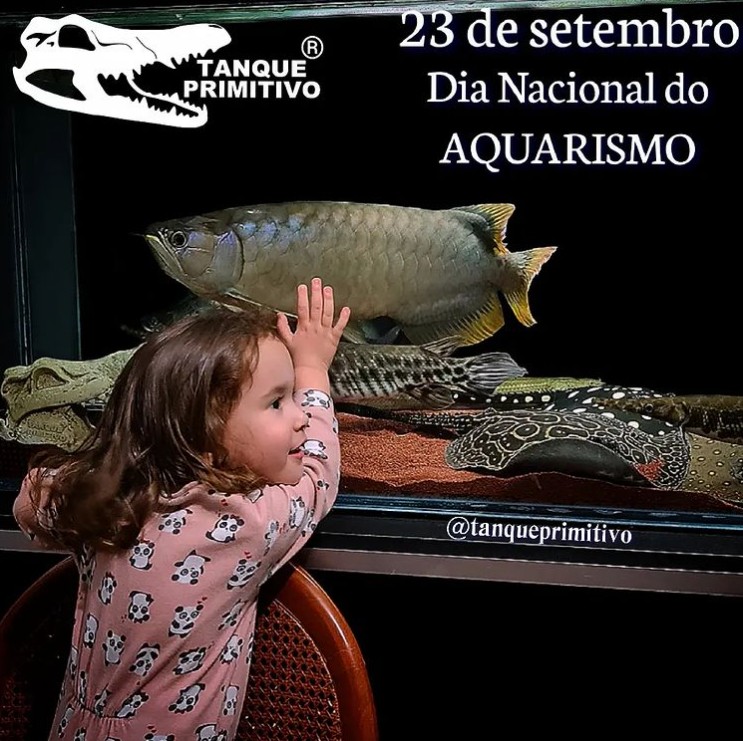 23/Setembro: Dia nacional do Aquarismo. Viva nossos animais de estimação!!! (Angelo Santos).