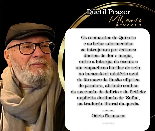 A poética de Mhario Lincoln