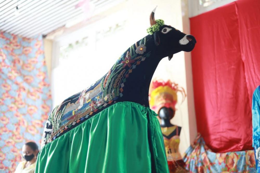 Exposições Regionais complementam festividades de fim de ano na cultura maranhense.