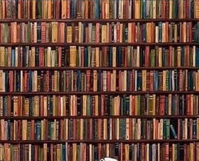 Retrospectiva 2021: Mercado editorial teve bom momento das livrarias físicas