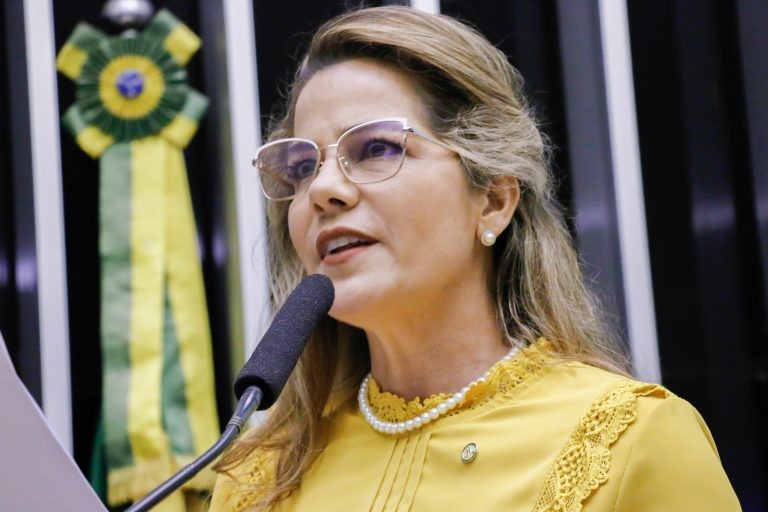 Projeto veda publicidade do governo e de partidos na internet das escolas