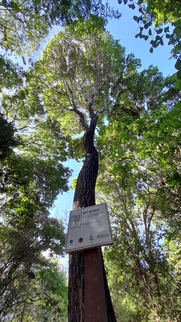 Parque Botânico ganhará Ecomapps neste domingo