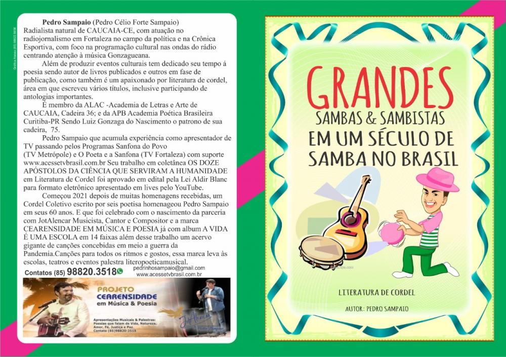 Um dos livros mais requisitados nos últimos tempos, versa sobre 1 Século de Samba no Brasil