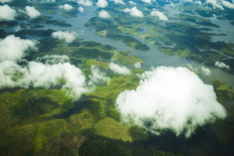 Plano Amazônia Agora é essencial no combate às mudanças climáticas no Pará