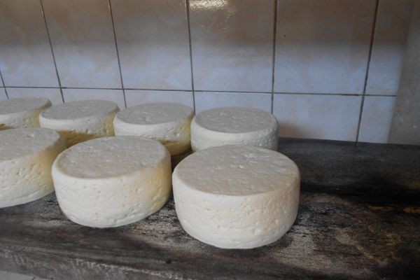 Governo apoia candidatura oficial do Queijo Minas Artesanal à Patrimônio Imaterial da Humanidade
