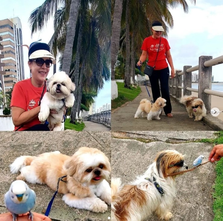 Silvania Tamer estreia no Facetubes com um texto singelo e maravilhoso sobre o relacionamento entre Homens e Animais