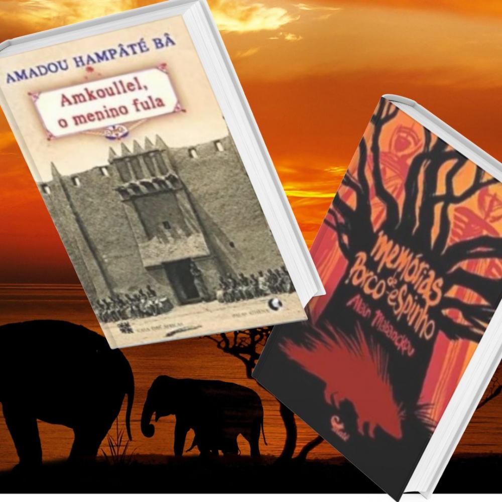 A boa leitura que vem da África com paladar que comove e emociona. Dois Livros, a mesma realidade