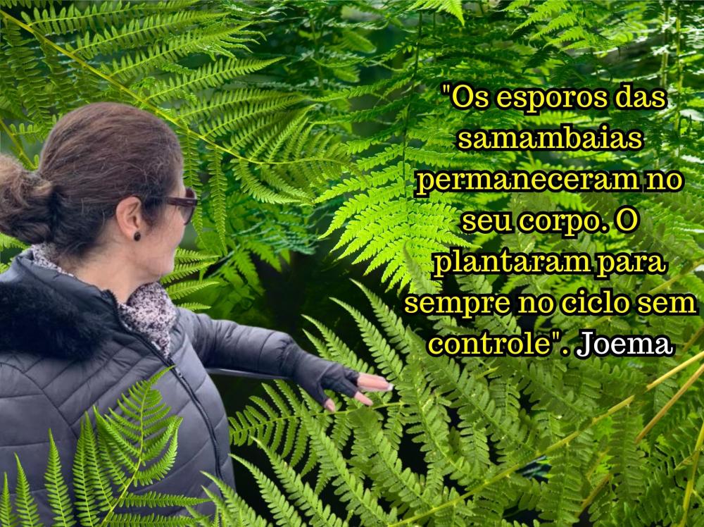 Mais um texto de Joema Carvalho: 