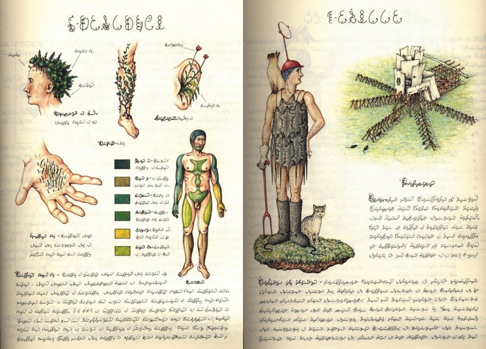 Pamela Malva. O LIVRO QUE NUNCA FOI DECIFRADO