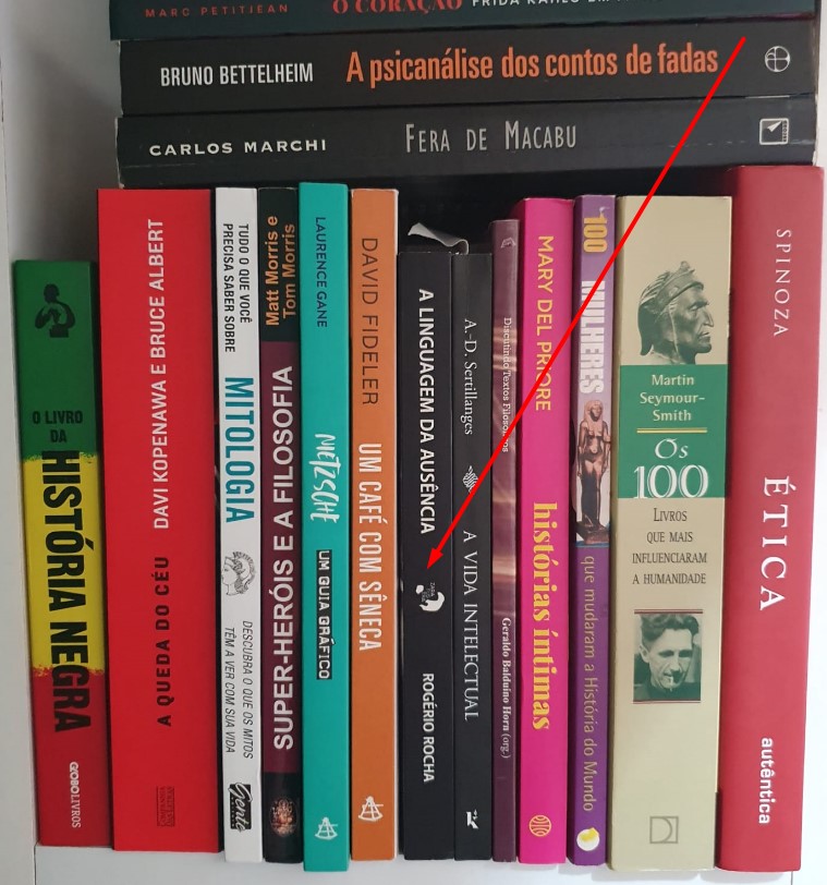 As percepções líricas de um novo Rogério Rocha no cenário maduro da poesia do Maranhão