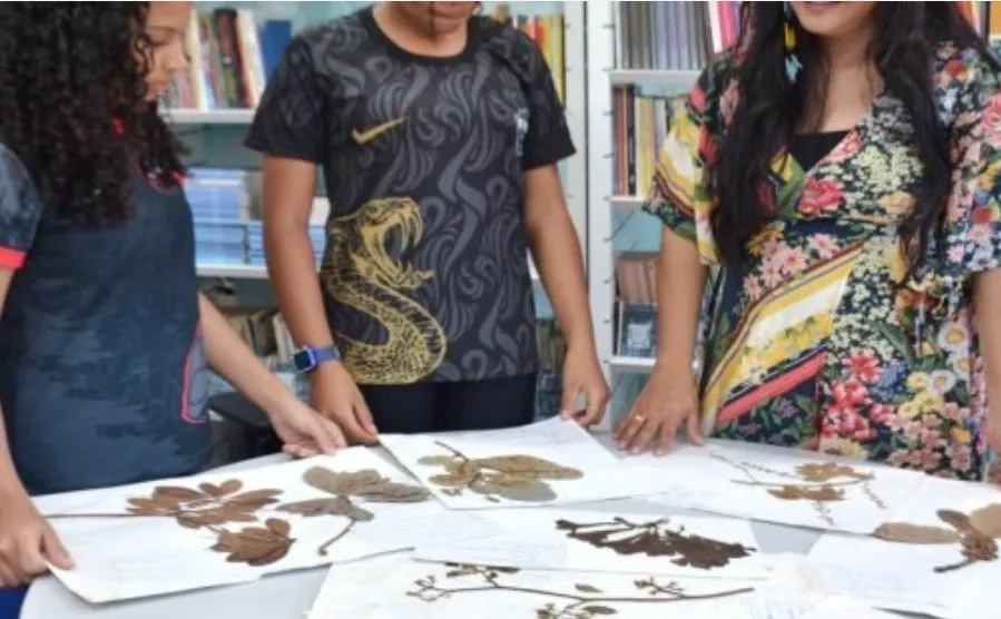 Professora maranhense conquista prêmio MapBiomas com projeto inovador na área da biologia 
