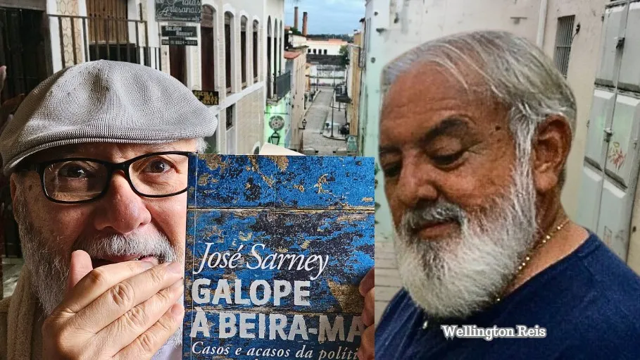 A admiração pelo escritor José Sarney por sua forma de urdir, traçar e insculpir, em certos momentos literários