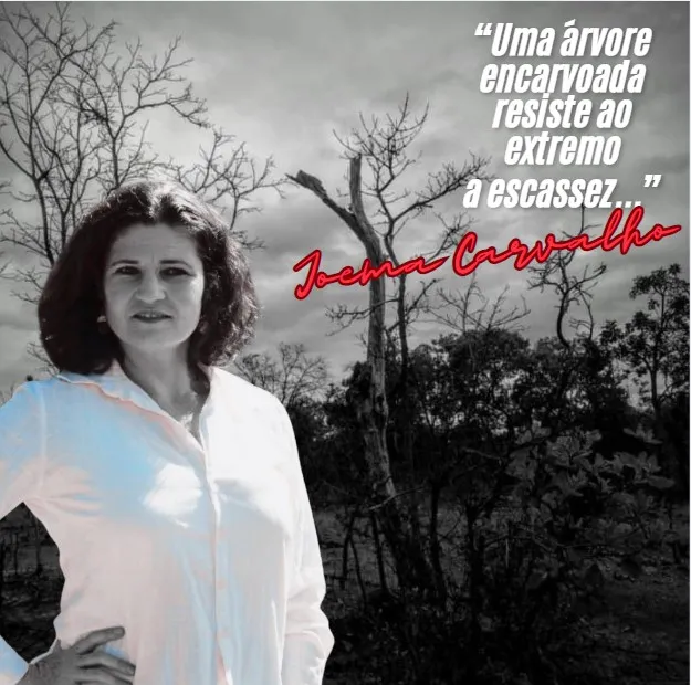 Joema Carvalho escreve um poema com mensagem reflexiva muito forte.