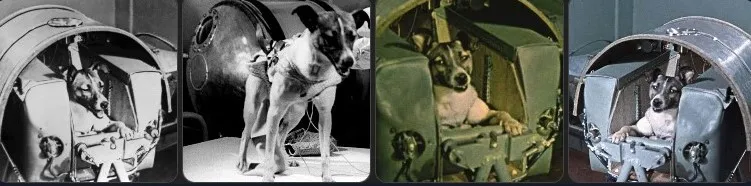 “Desculpa, Laika. Alguém te traiu.” A cadela entrou para a história espacial, mas sua morte ainda interroga a consciência humana.