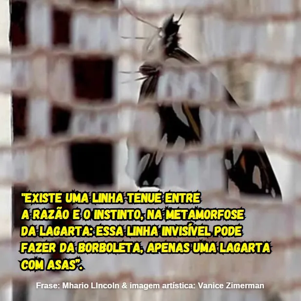 Quando a Borboleta é apenas uma Lagarta com asas