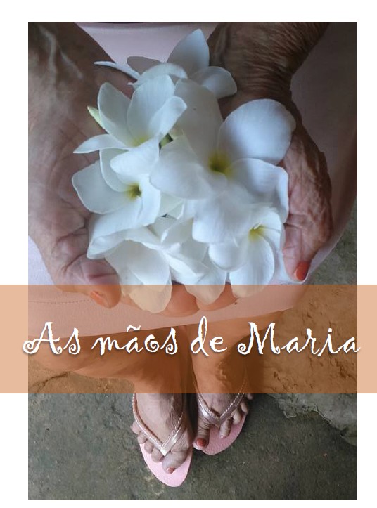 Especial: Maria do Socorro, com quanta saudade se faz uma poesia?