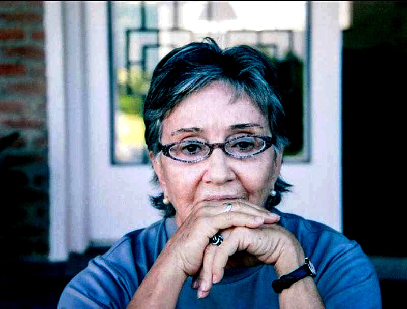 Pesquisadora e historiadora da arte Aracy Amaral e a dificuldade de fazer arte durante a pandemia. 