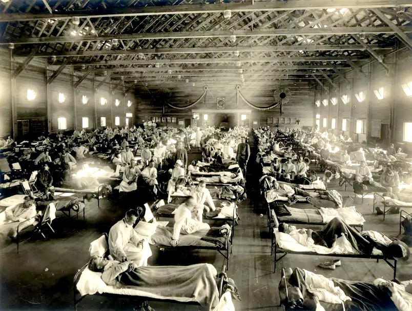Em 1919, alguns meses após a eclosão da Gripe Espanhola, o Brasil fez sua festa de Momo e a apelidou de 