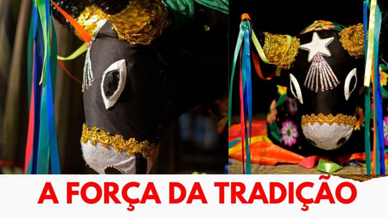 Rogério Rocha: 