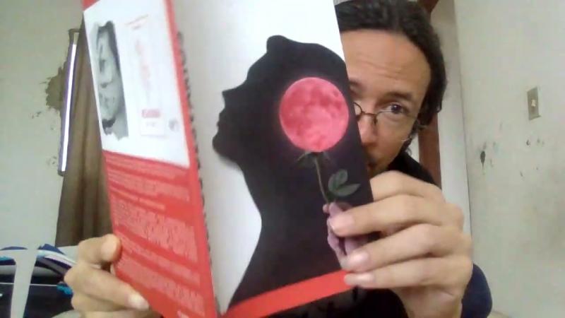 LEONARDO DE MAGALHÃES: Coleção Flores do Caos. Livros: Súbitos Desvarios. Hyanna da Cunha e Frigus Poética, de Wellington Farias. Selo Starling, 